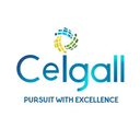 Ceigall India Ltd.