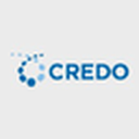 Credo Technology Group Holding Ltd Ordinary Shares