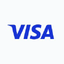 Visa Inc. logo