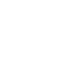 American International Group, Inc. logo