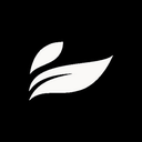 Leef Brands Inc. logo