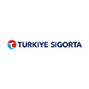 Türkiye Sigorta (TURSG) hisse senedi logosu