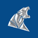 Wildcat Resources Limited