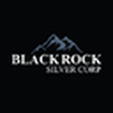 Blackrock Silver Corp.