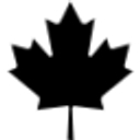 Colonial Coal International Corp.