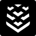 Swarmer, Inc Common Stock