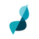 Gore Street Energy Storage Fund Plc