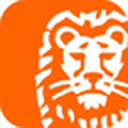 ING Bank Slaski S.A.