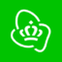 Koninklijke KPN N.V.