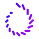 Orgenesis Inc.