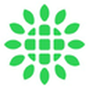 Shoals Technologies Group, Inc.