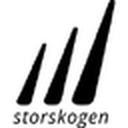 Storskogen Group AB (publ)