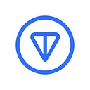 TON Strategy Co.